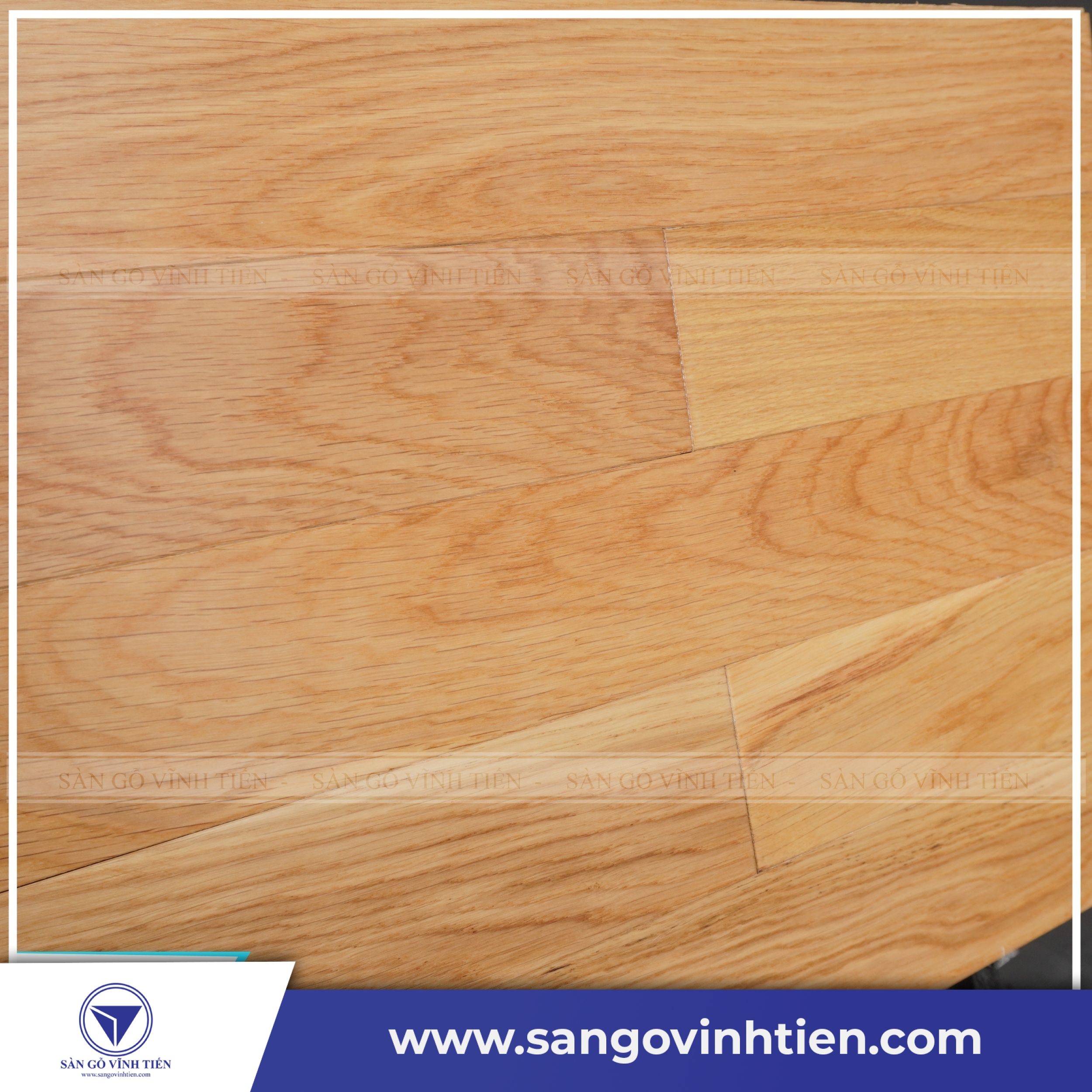 Ván sàn gỗ Sồi là lựa chọn hàng đầu của nhiều khách hàng hiện nay